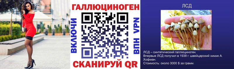 Псилоцибиновые грибы мицелий  Талица 